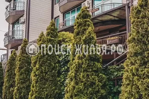 «Астория», Туапсе