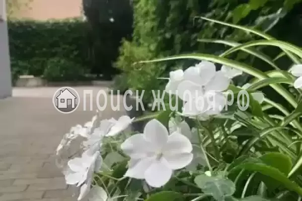 Частный сектор «Вилла Villa-Flora», Кабардинка