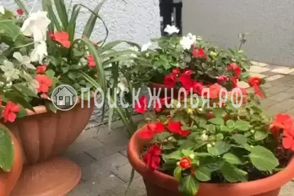 Частный сектор «Вилла Villa-Flora», Кабардинка