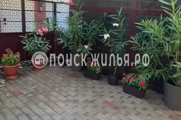 Частный сектор «На Северном», Геленджик, пер. Северный, д.5