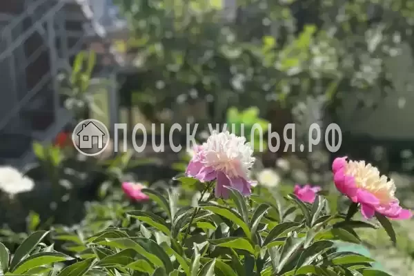 «Уютный», Геленджик