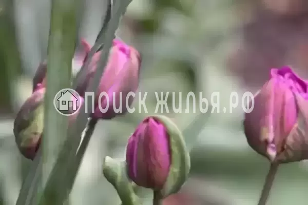 «Уютный», Геленджик