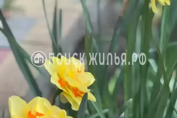 «Уютный», Геленджик