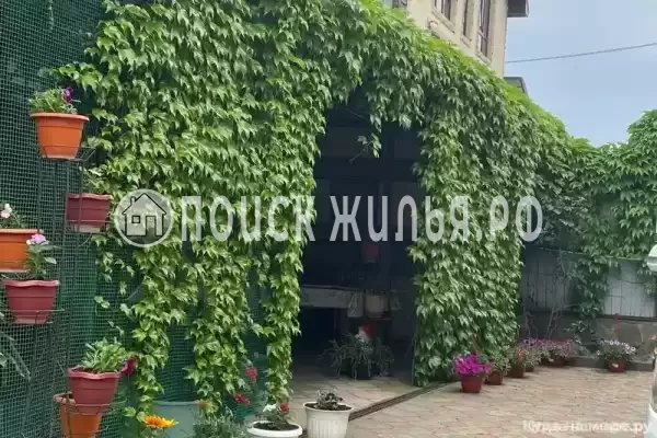 «Аннушка», Ольгинка «Аннушка», Ольгинка