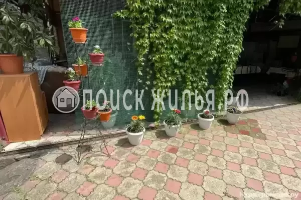 «Аннушка», Ольгинка «Аннушка», Ольгинка