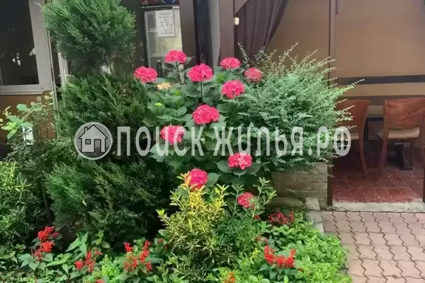 «У Ирина», Адлер