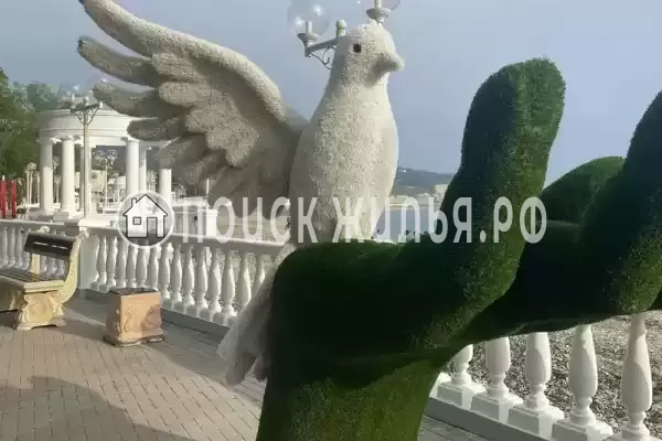 Квартира «Легенда», Дивноморское