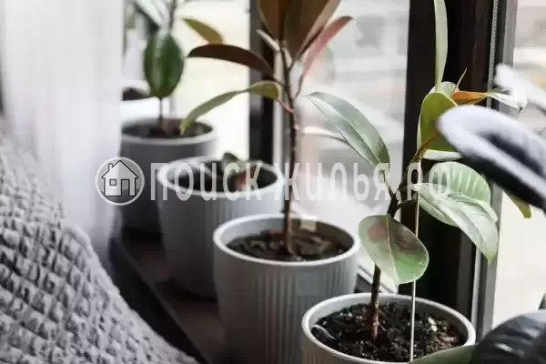 «У горной реки», Якорная Щель «У горной реки», Якорная Щель