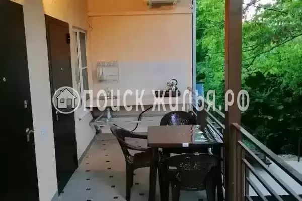 «Зелёный Дворик», Пляхо