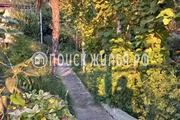 «На Победе», Лазаревское