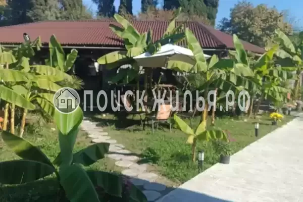 Частный сектор «Оазис», Пицунда