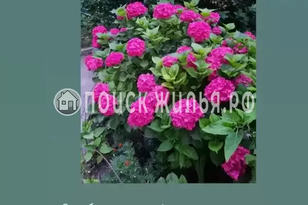 Гостевой дом «У Гаянэ», Цандрипш