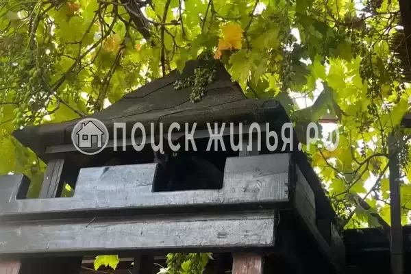 «Oasis», Кабардинка