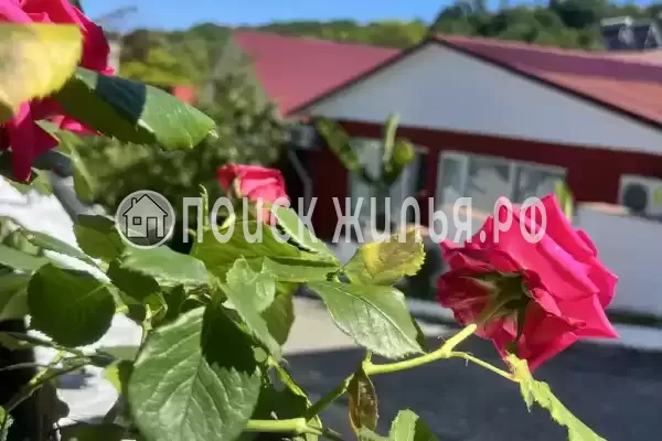 «Баунти», Краснодарский край, Сочи, Вардане, Фруктовая, д.18/23 «Баунти», Краснодарский край, Сочи, Вардане, Фруктовая, д.18/23