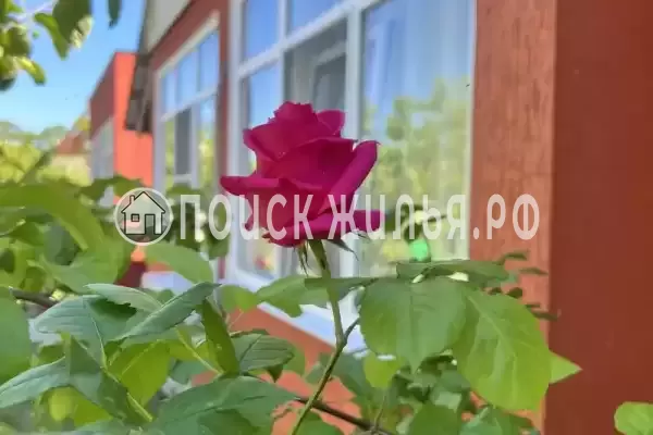 Частный сектор «Баунти», Вардане