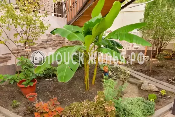 «Наш дом», Геленджик