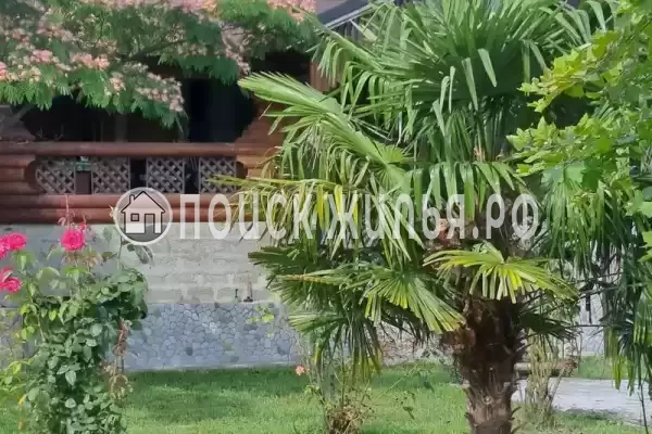 «Шепси», Шепси