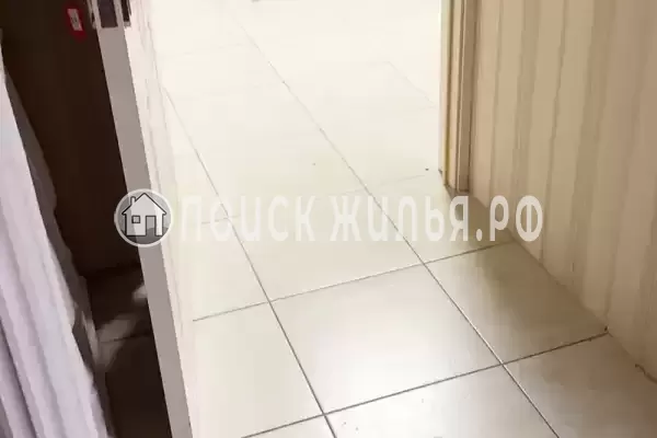 «Камелия 2», Адлер «Камелия 2», Адлер