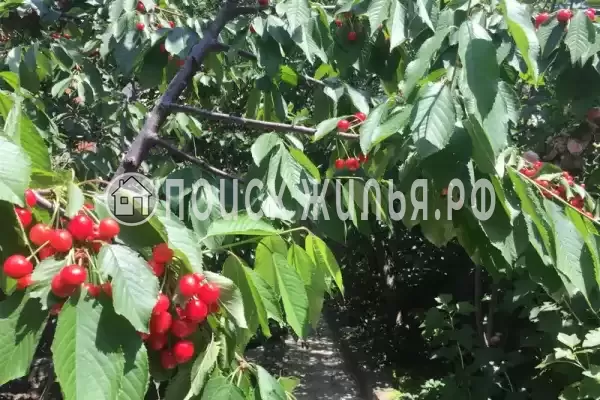 Частный сектор «Антонина», Геленджик