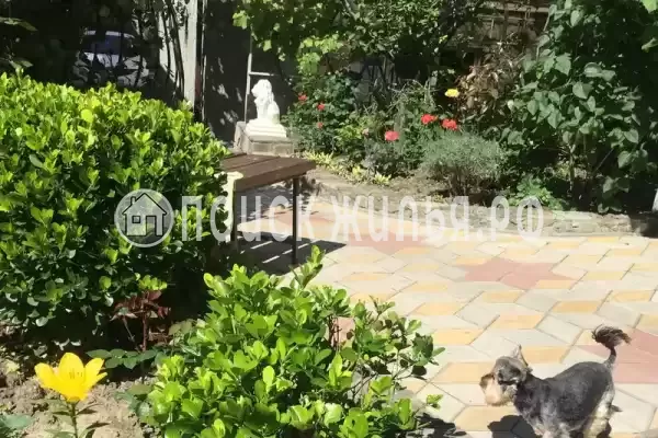 Частный сектор «Антонина», Геленджик