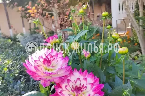 Частный сектор «Малиновая, 10», Севастополь