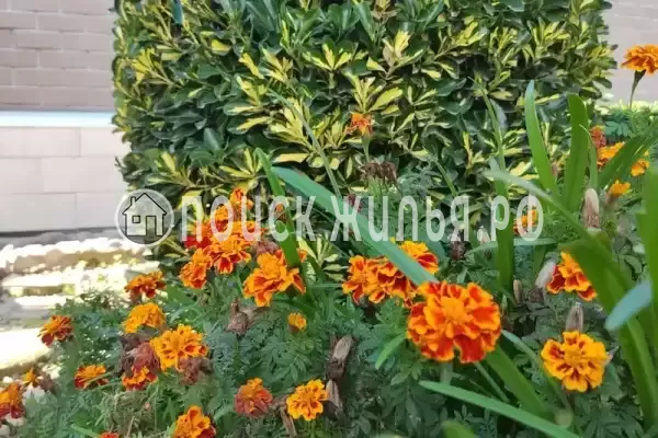 Частный сектор «Малиновая, 10», Севастополь