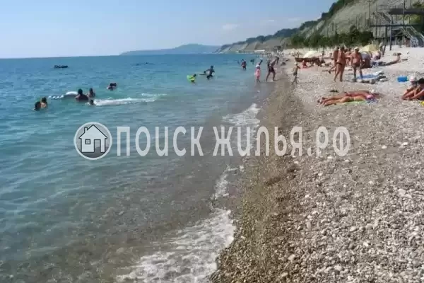 «Дельфин», Шепси