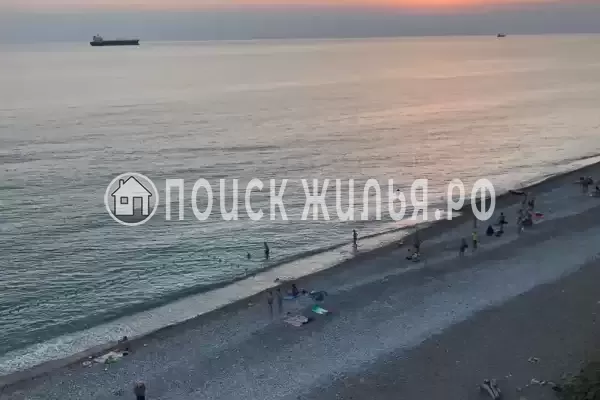 «Дельфин», Шепси