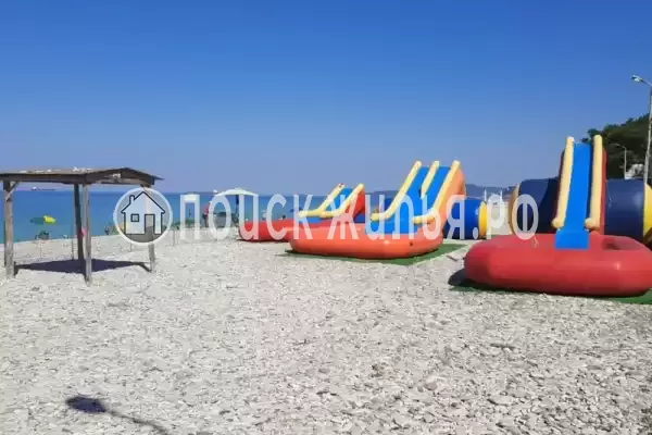 «Дельфин», Шепси