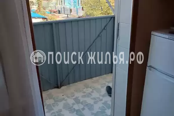 «Дельфин», Шепси