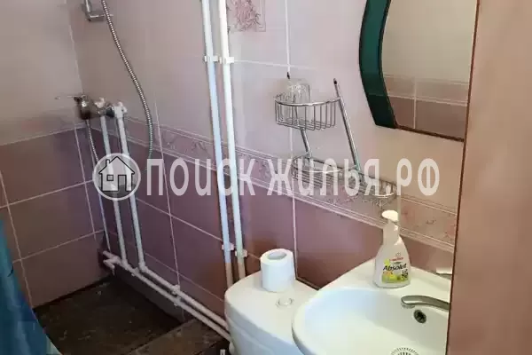 «Дельфин», Шепси