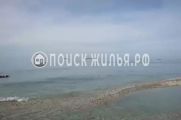 «Дельфин», Шепси