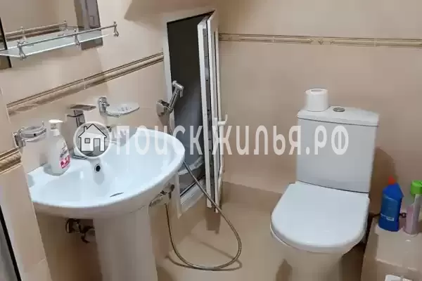 «Дельфин», Шепси