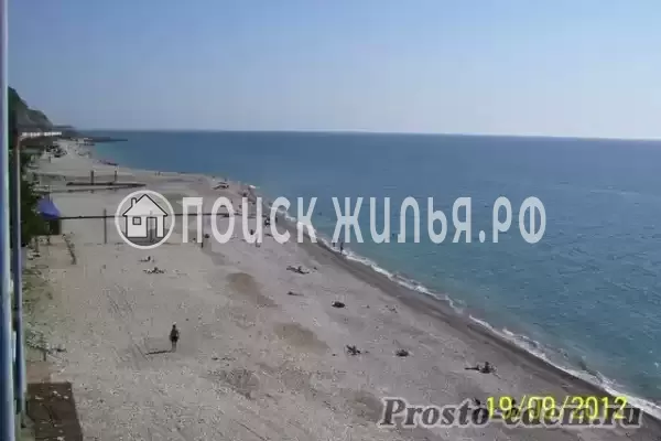 «Дельфин», Шепси