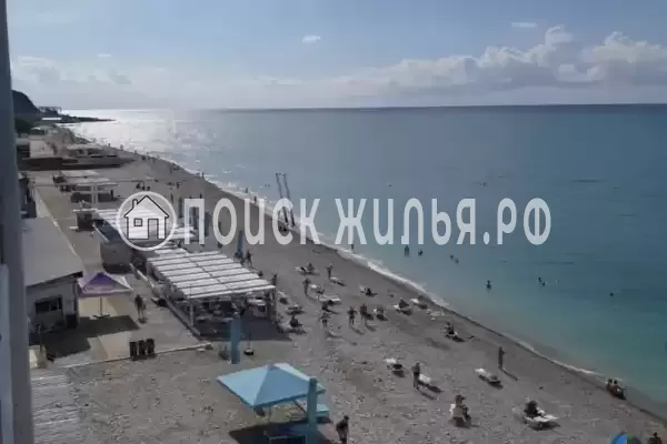 «Дельфин», Шепси