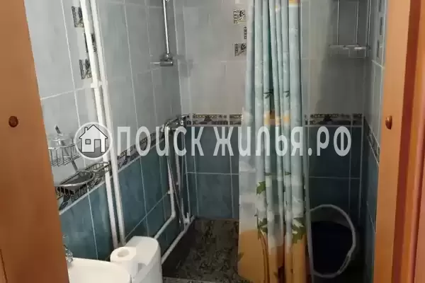 «Дельфин», Шепси