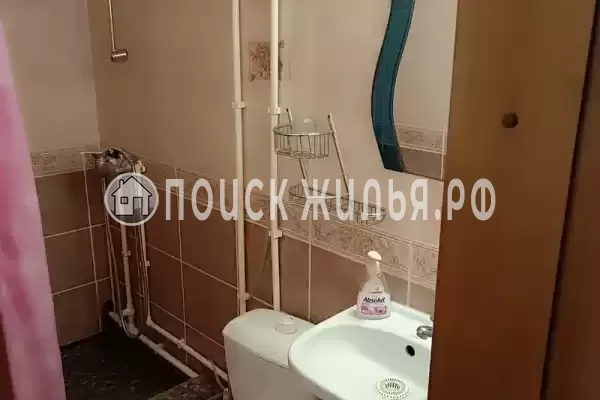 «Дельфин», Шепси