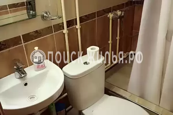 «Дельфин», Шепси