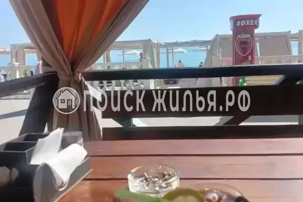 «Дельфин», Шепси