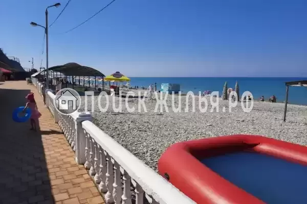 «Дельфин», Шепси