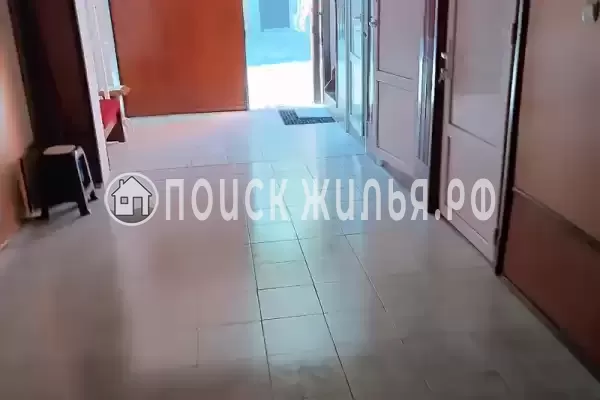 «Дельфин», Шепси