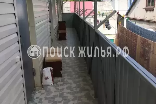 «Дельфин», Шепси