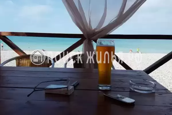 «Дельфин», Шепси