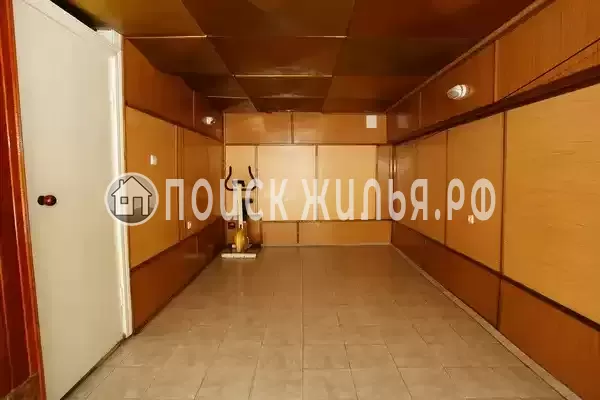 «Дельфин», Шепси