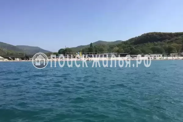 «Дельфин», Шепси