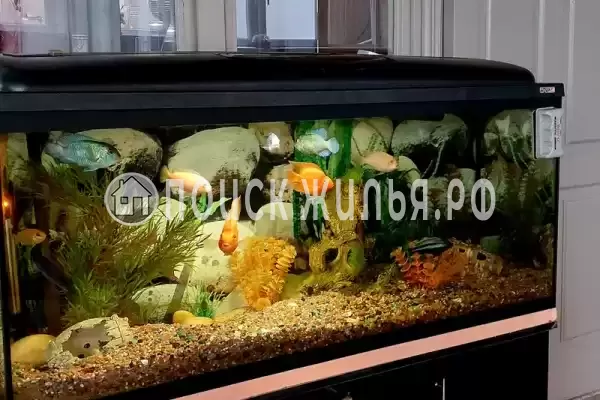 «Sun-City», Лазаревское «Sun-City», Лазаревское