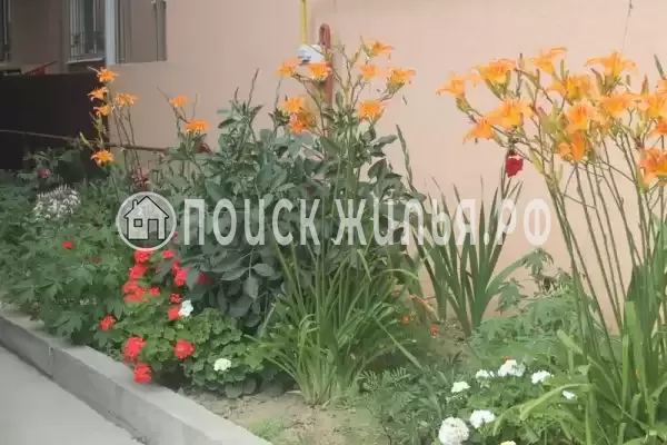 «Диана», Адлер «Диана», Адлер