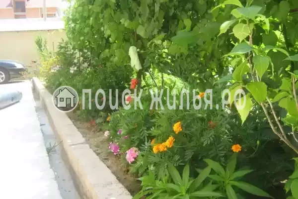 «Диана», Адлер «Диана», Адлер