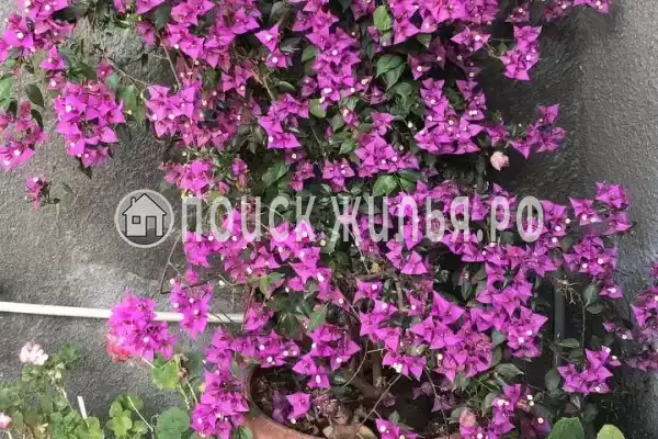 Гостевой дом «На Ленина 67», Цандрипш