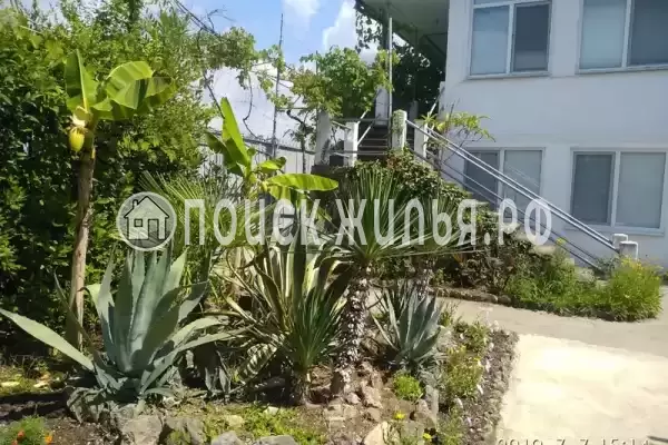 Гостевой дом «Бриз», Гагра Гостевой дом «Бриз», Гагра